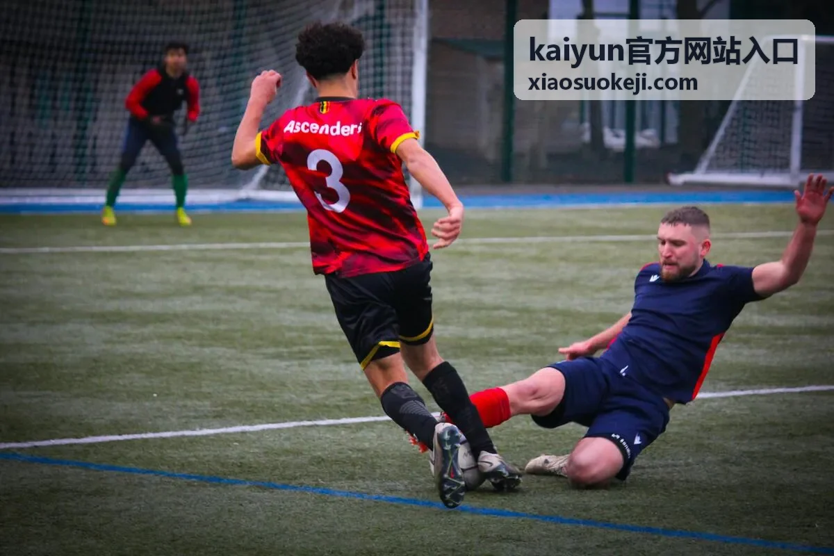 kaiyun官方网站入口访问说明封面